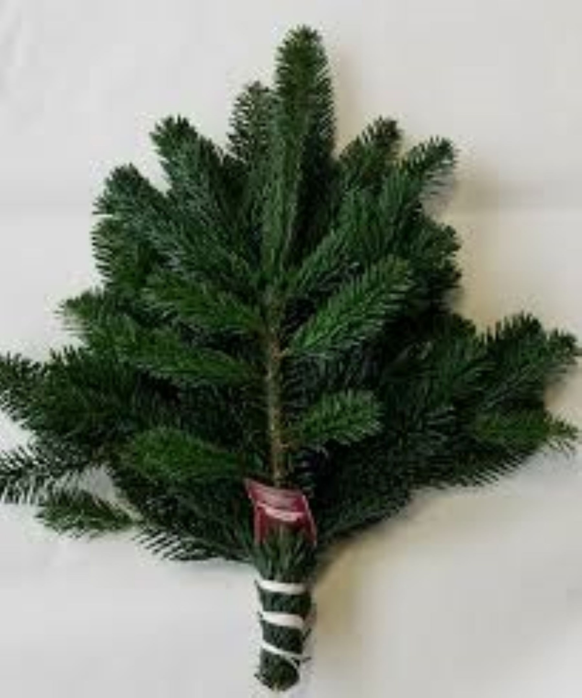 Nordman Fir Bouquet Grade