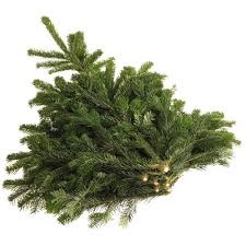 Nordman Fir Wreath / Arrangement 5kg Bundle