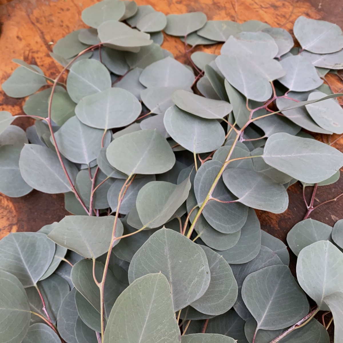 Autumn Foliage Mixed Box